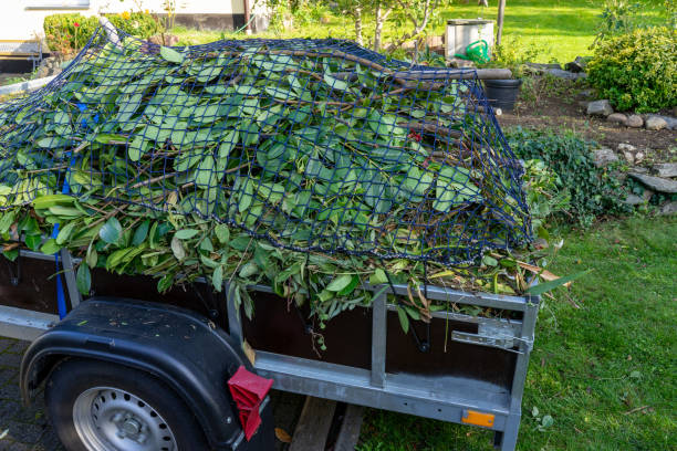 Best Estate Cleanout  in Kenilworth, NJ